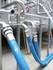 Hygienic hose lines