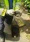Water leak detection technology