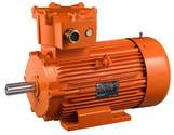 ACHEMA 2012 - Flameproof ATEX motors