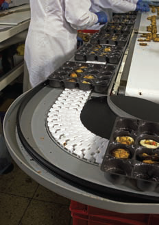Modular Conveyor System for a Biscuit Manufacturer