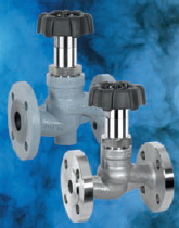 Globe valve