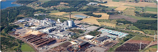 Pulp mill becomes