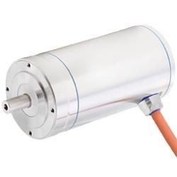 Stainless Steel Servo Motors