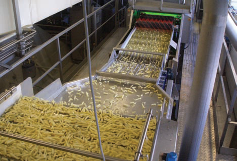 Potato Processor Implements Automatic Defect Removal System