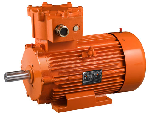 ACHEMA 2012 - Flameproof ATEX motors