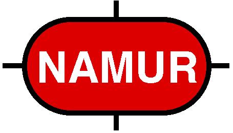 NAMUR Award:
